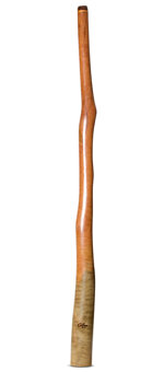 Tristan O'Meara Didgeridoo (TM367)